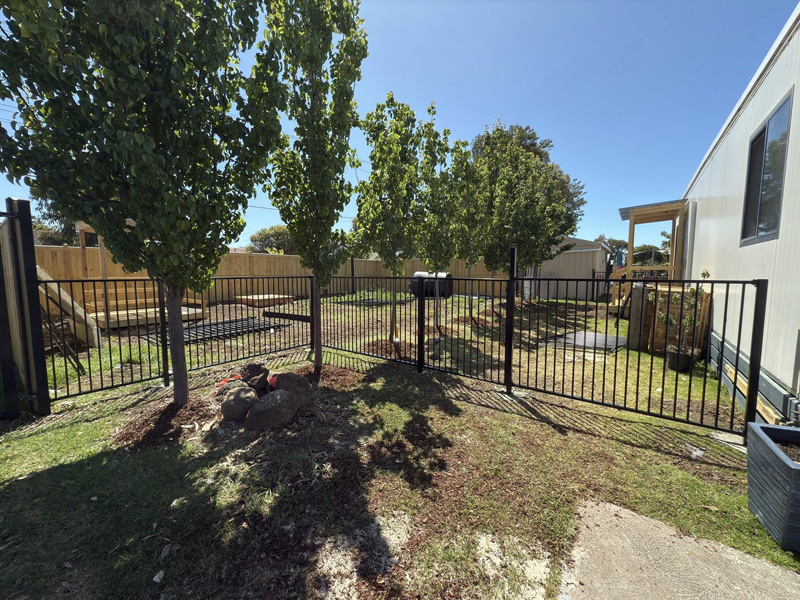 Black steel fencing and gate around a grassed yard with young trees